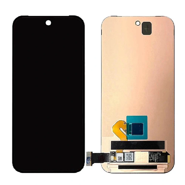 Pixel 9 ecrane LCD
