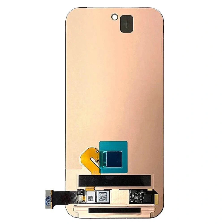 Pixel 9 ecrane LCD